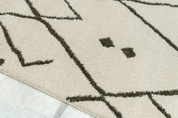 Tapis shaggy Belgique – Image 3